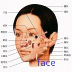 face looking